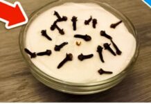 SVI ME PITAJU ZAŠTO U MOJOJ KUĆI TAKO LIJEPO MIRIŠE: Ovo je trik koji koristim, samo 2 sastojka – A KUĆA MIRIŠE DANIMA