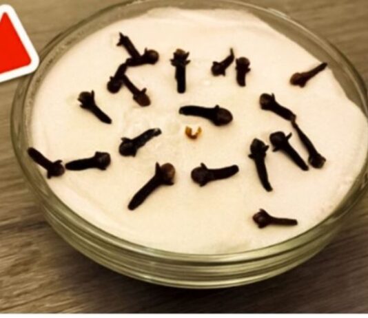 SVI ME PITAJU ZAŠTO U MOJOJ KUĆI TAKO LIJEPO MIRIŠE: Ovo je trik koji koristim, samo 2 sastojka – A KUĆA MIRIŠE DANIMA