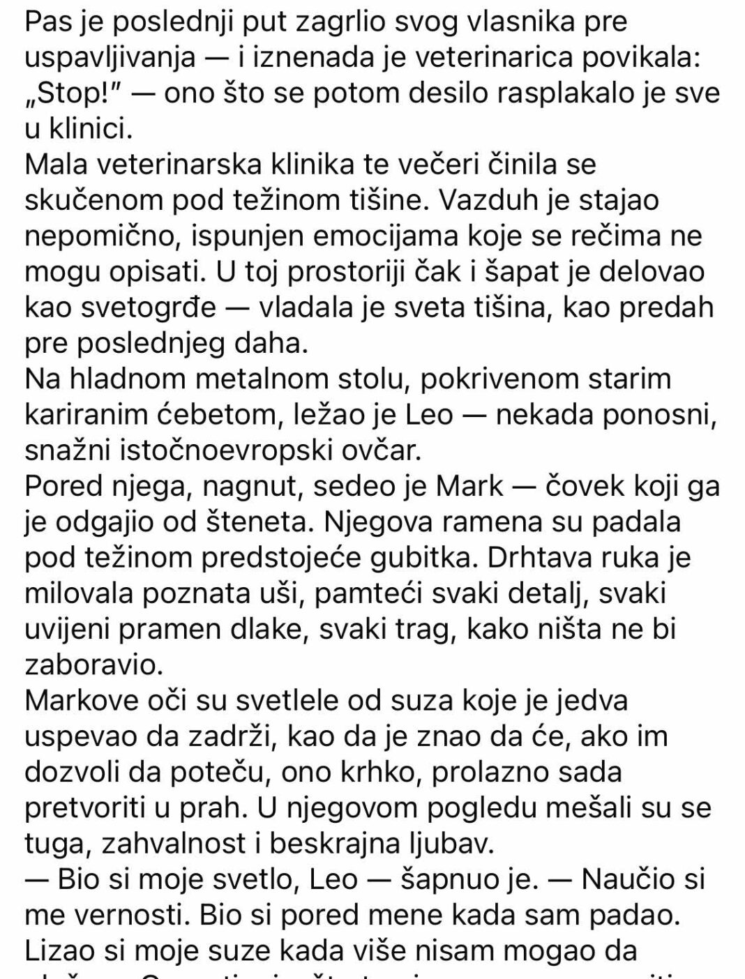 Pas je poslednji put zagrlio svog vlasnika pre uspavljivanja — a odjednom je veterinarka povikala: „Stani!” — ono što se zatim dogodilo potreslo je sve u klinici. - featured image