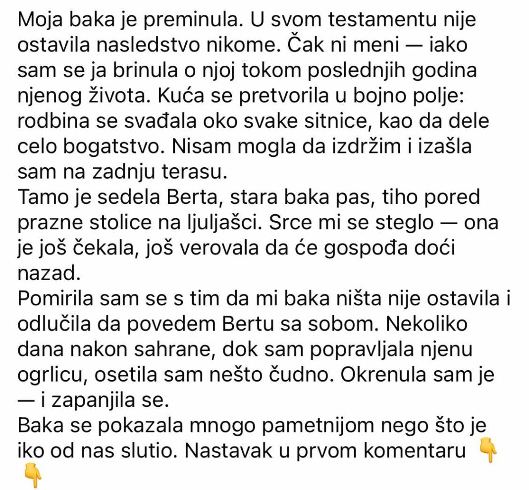Dok se porodica svađala oko testamenta bake, uzela sam njenog psa — i on me odveo do tajne o kojoj niko nije znao. - featured image