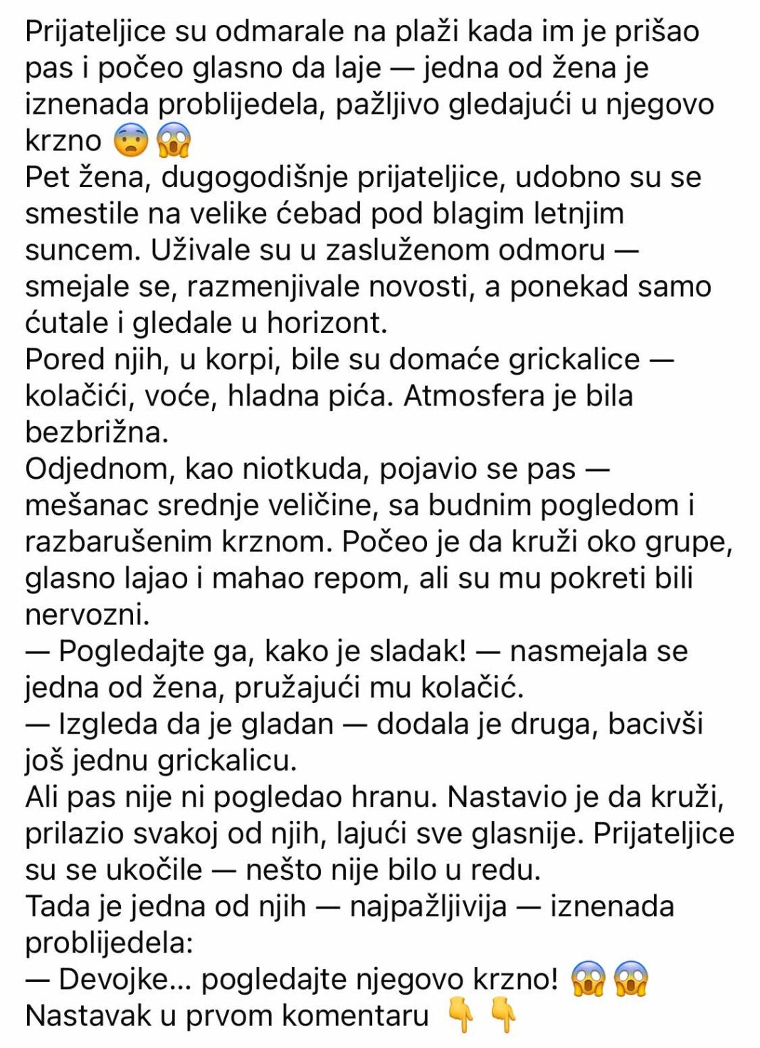 Prijateljice su se odmarale na plaži kada je pas dotrčao do njih i počeo da laje — jedna od žena je iznenada pobledela kad je primetila nešto u njegovom krznu. - featured image Prijateljice su se odmarale na plaži kada je pas dotrčao do njih i počeo da laje — jedna od žena je iznenada pobledela kad je primetila nešto u njegovom krznu. - featured image
