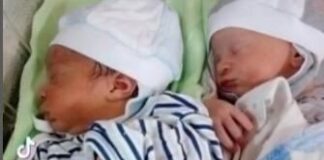 RODILA BLIZANCE, PA ZANEMELA OD ŠOKA: Lekari trčali da ih vide, otac mislio da je greška, sad imaju 5 godina i ČUDNI SU RODILA BLIZANCE, PA ZANEMELA OD ŠOKA: Lekari trčali da ih vide, otac mislio da je greška, sad imaju 5 godina i ČUDNI SU - featured image