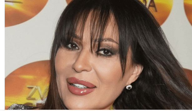 Ovo je jedina pesma koju je Ceca posvetila deci: Nastala iz teške traume, svi su mislili da peva muškarcu - featured image Ovo je jedina pesma koju je Ceca posvetila deci: Nastala iz teške traume, svi su mislili da peva muškarcu - featured image