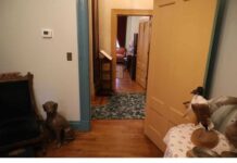 Evo što gostima prvo ‘zapne za oko’ kada vam dođu u posjet Evo što gostima prvo ‘zapne za oko’ kada vam dođu u posjet - featured image