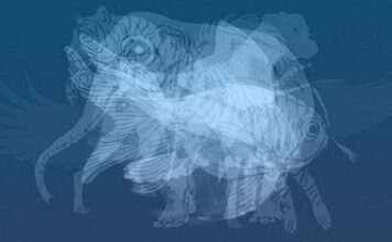 Životinja koju prvu vidite na slici otkrit će do gole kože vaš karakter: Jeste li spremni? Životinja koju prvu vidite na slici otkrit će do gole kože vaš karakter: Jeste li spremni? - featured image