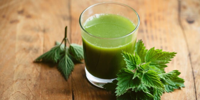 Čudotvorni napitak iz prirode – Evo kako kopriva izvlači otrove iz vaše krvi! - featured image Čudotvorni napitak iz prirode – Evo kako kopriva izvlači otrove iz vaše krvi! - featured image