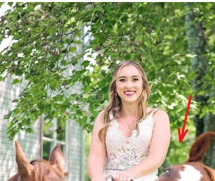 OVA SLIKA JE NAJVEĆI HIT, LJUDI PLAČU OD SMIJEHA: Kad vidite donji dio slike NEĆE VAM BITI DOBRO - featured image OVA SLIKA JE NAJVEĆI HIT, LJUDI PLAČU OD SMIJEHA: Kad vidite donji dio slike NEĆE VAM BITI DOBRO - featured image