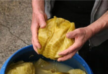 Kiseli kupus može da traje do ljeta, samo dodajte ovaj sastojak Kiseli kupus može da traje do ljeta, samo dodajte ovaj sastojak - featured image