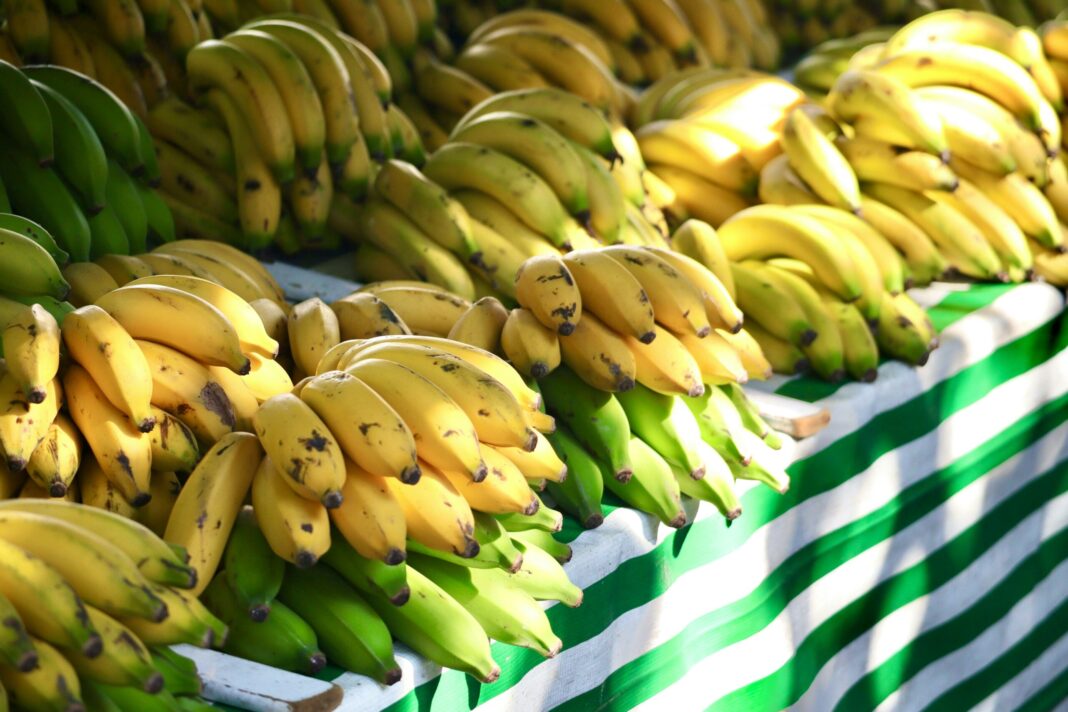 Zelena, žuta ili smeđa? Evo koja banana krije najveću moć za vaše zdravlje - featured image