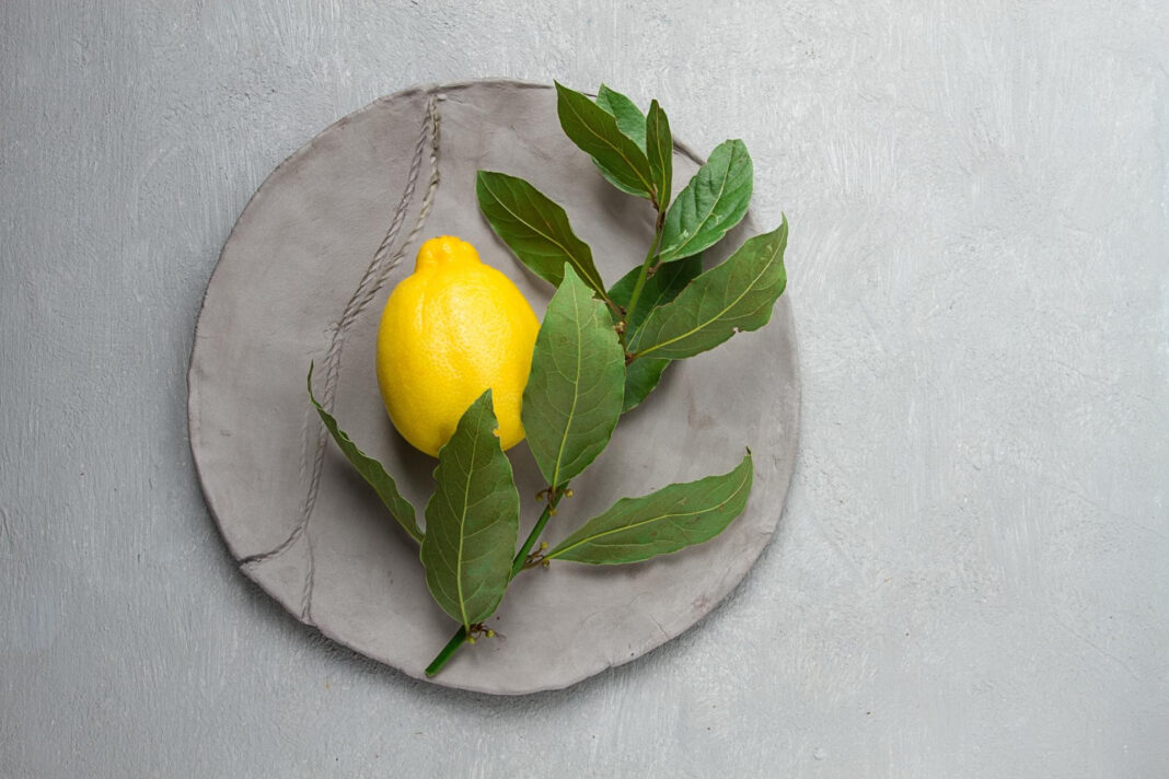 UZMITE LIMUN I ZABODITE LIST LOVORA - featured image