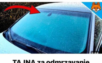 TAJNA za odmrzavanje zaleđenih prozora automobila u SEKUNDI…. TAJNA za odmrzavanje zaleđenih prozora automobila u SEKUNDI…. - featured image