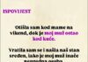 “Otišla sam kod mame na vikend, dok je moj muž ostao kod kuće” “Otišla sam kod mame na vikend, dok je moj muž ostao kod kuće” - featured image