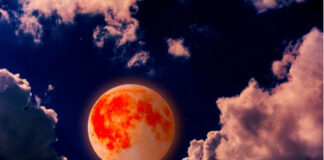 Na ova 4 znaka će najviše uticati Krvavi Mesec: Njima će 3. marta biti ključan momenat u 2026. godini, oslobodiće se svega što ih je gušilo Na ova 4 znaka će najviše uticati Krvavi Mesec: Njima će 3. marta biti ključan momenat u 2026. godini, oslobodiće se svega što ih je gušilo - featured image