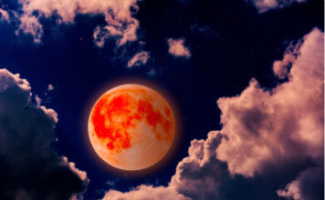 Na ova 4 znaka će najviše uticati Krvavi Mesec: Njima će 3. marta biti ključan momenat u 2026. godini, oslobodiće se svega što ih je gušilo Na ova 4 znaka će najviše uticati Krvavi Mesec: Njima će 3. marta biti ključan momenat u 2026. godini, oslobodiće se svega što ih je gušilo - featured image