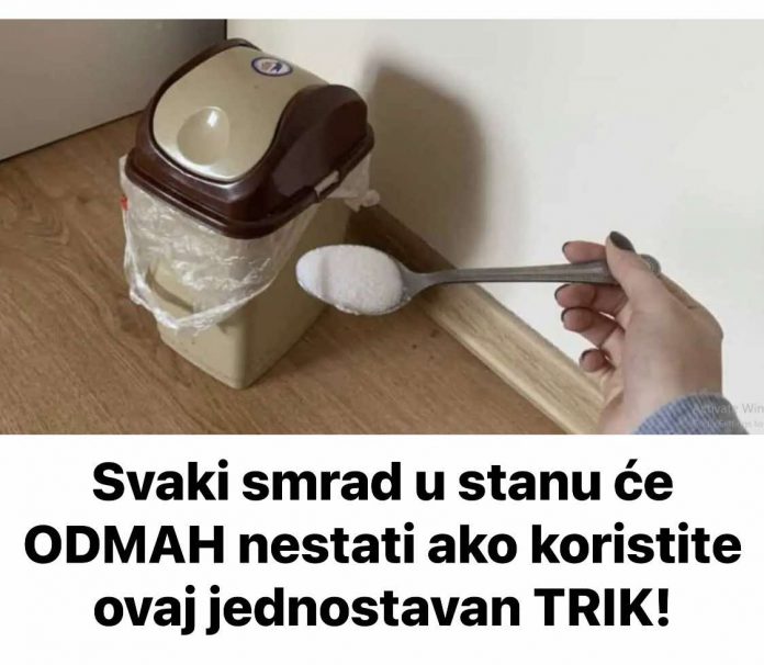 Svaki smrad u stanu će ODMAH nestati ako koristite ovaj jednostavan TRIK! - featured image Svaki smrad u stanu će ODMAH nestati ako koristite ovaj jednostavan TRIK! - featured image