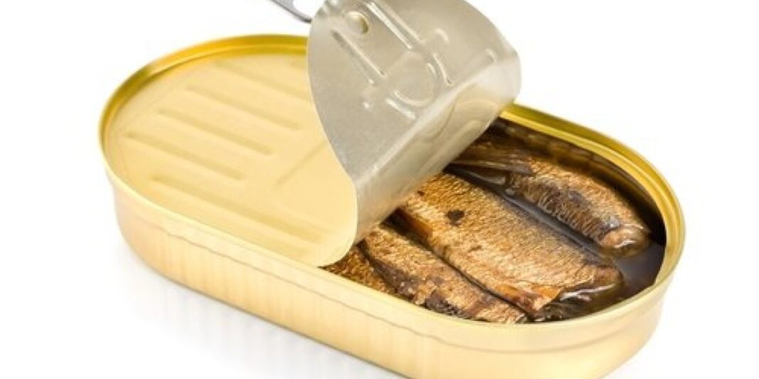 Jedete li sardine iz konzerve? EV0 ŠTA ZAPRAV0 UN0SlTE U SEBE, ŽlV0T ĆE VAM SE ZGADlTl… - featured image