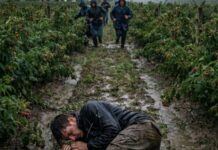 Išao sam da berem maline da skupim novac za majčinu operaciju – a tog dana sam skoro ostao bez svega Išao sam da berem maline da skupim novac za majčinu operaciju – a tog dana sam skoro ostao bez svega - featured image