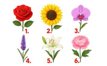 TEST: Koji cvijet vam se najviše dopada? – On otkriva kako vas drugi zapravo vide! TEST: Koji cvijet vam se najviše dopada? – On otkriva kako vas drugi zapravo vide! - featured image
