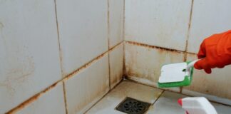 Kako da očistite ćoškove u tuš kabini? Razara kamenac, skine svu buđ i pločice čiste kao suza Kako da očistite ćoškove u tuš kabini? Razara kamenac, skine svu buđ i pločice čiste kao suza - featured image