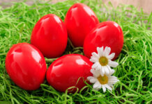 Najboji prirodni način farbanja jaja u jarko crvenu star 50 godina: Samo 1 namirnica vam je potrebna Najboji prirodni način farbanja jaja u jarko crvenu star 50 godina: Samo 1 namirnica vam je potrebna - featured image