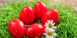 Najboji prirodni način farbanja jaja u jarko crvenu star 50 godina: Samo 1 namirnica vam je potrebna Najboji prirodni način farbanja jaja u jarko crvenu star 50 godina: Samo 1 namirnica vam je potrebna - featured image