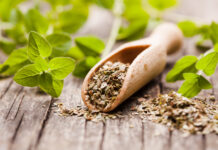 Najzdravija biljka koja smanjuje upale i loš holesterol: Zovu je kraljicom začina jer od nje strahuju bakterije Najzdravija biljka koja smanjuje upale i loš holesterol: Zovu je kraljicom začina jer od nje strahuju bakterije - featured image