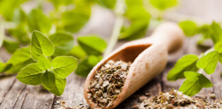 Najzdravija biljka koja smanjuje upale i loš holesterol: Zovu je kraljicom začina jer od nje strahuju bakterije Najzdravija biljka koja smanjuje upale i loš holesterol: Zovu je kraljicom začina jer od nje strahuju bakterije - featured image