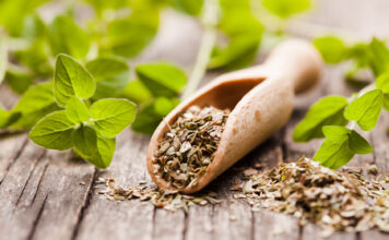 Najzdravija biljka koja smanjuje upale i loš holesterol: Zovu je kraljicom začina jer od nje strahuju bakterije Najzdravija biljka koja smanjuje upale i loš holesterol: Zovu je kraljicom začina jer od nje strahuju bakterije - featured image