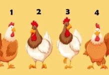 Šta ljudi misle o vama? Test od 4 petla sa 98% tačnosti otkriva da li vas drugi cene ili izbegavaju Šta ljudi misle o vama? Test od 4 petla sa 98% tačnosti otkriva da li vas drugi cene ili izbegavaju - featured image