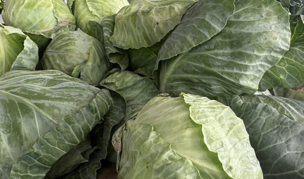 LAKO ĆETE PREPOZNATI KUPUS PUN OTROVA: Dovoljno je da obratite pažnju na ove dijelove - featured image