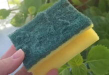 Od otpada do zlata: Nevjerovatna nova namjena starog sunđera! Ovo je trik koji je odusevio svijet” Od otpada do zlata: Nevjerovatna nova namjena starog sunđera! Ovo je trik koji je odusevio svijet” - featured image