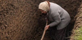 Svi u selu su odlučili da je starica poludela kada je počela kopati ogroman rov usred dvorišta, ali kada su ljudi videli šta je tačno ona iskopala, svi su bili šokirani.😲😲 Svi u selu su odlučili da je starica poludela kada je počela kopati ogroman rov usred dvorišta, ali kada su ljudi videli šta je tačno ona iskopala, svi su bili šokirani.😲😲 - featured image