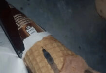 Moja ćerka je otvorila sladoled i unutra je našla nešto čudno — nismo odmah shvatili šta je to bilo. Moja ćerka je otvorila sladoled i unutra je našla nešto čudno — nismo odmah shvatili šta je to bilo. - featured image