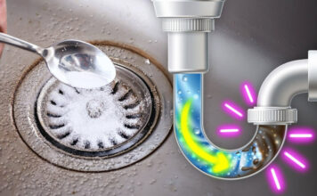 Ovo odčepljuje odvod bolje od mašine! SMRAD NESTAJE Ovo odčepljuje odvod bolje od mašine! SMRAD NESTAJE - featured image