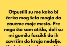 “Dobila sam otkaz da bi kćerka direktora zauzela moje mjesto – Slomila sam se, a onda…” “Dobila sam otkaz da bi kćerka direktora zauzela moje mjesto – Slomila sam se, a onda…” - featured image