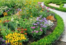 ODMAH JE PROCVJETALA! 1 kašičica za svaki kućni cvijet i bujno cvjetanje je zagarantovano!