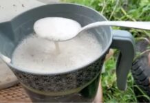 ŽELITE PUNO VELIKIH PAPRIKA, PARADAJZA I KRASTAVACA? Svaku biljku jednom mjesečno hranite ovim čudom, ništa više! ŽELITE PUNO VELIKIH PAPRIKA, PARADAJZA I KRASTAVACA? Svaku biljku jednom mjesečno hranite ovim čudom, ništa više! - featured image