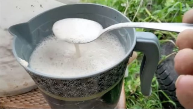 ŽELITE PUNO VELIKIH PAPRIKA, PARADAJZA I KRASTAVACA? Svaku biljku jednom mjesečno hranite ovim čudom, ništa više! - featured image ŽELITE PUNO VELIKIH PAPRIKA, PARADAJZA I KRASTAVACA? Svaku biljku jednom mjesečno hranite ovim čudom, ništa više! - featured image