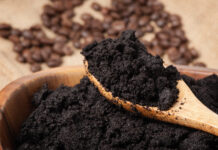 Razblažite u vodi i zalijte svoje ruže u aprilu: Doći će do bukvalne EKSPLOZIJE cvijeća! Razblažite u vodi i zalijte svoje ruže u aprilu: Doći će do bukvalne EKSPLOZIJE cvijeća! - featured image