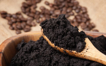 Razblažite u vodi i zalijte svoje ruže u aprilu: Doći će do bukvalne EKSPLOZIJE cvijeća! Razblažite u vodi i zalijte svoje ruže u aprilu: Doći će do bukvalne EKSPLOZIJE cvijeća! - featured image