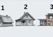 TEST! U KOJOJ KUĆI BISTE ŽIVJELI? Evo šta to govori o vama, OPREZ-SVIMA JE POGODILO! TEST! U KOJOJ KUĆI BISTE ŽIVJELI? Evo šta to govori o vama, OPREZ-SVIMA JE POGODILO! - featured image