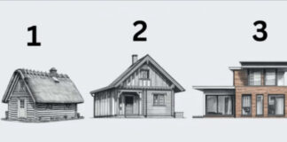 TEST! U KOJOJ KUĆI BISTE ŽIVJELI? Evo šta to govori o vama, OPREZ-SVIMA JE POGODILO! TEST! U KOJOJ KUĆI BISTE ŽIVJELI? Evo šta to govori o vama, OPREZ-SVIMA JE POGODILO! - featured image