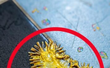 Pronašao sam ovo u kupaonici svoje djevojke. Gledamo to već sat vremena i još uvijek ne možemo shvatiti što je to. Pronašao sam ovo u kupaonici svoje djevojke. Gledamo to već sat vremena i još uvijek ne možemo shvatiti što je to. - featured image