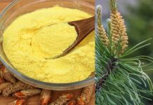 PO KAŠIČICU DNEVNO TREBA DA POJEDE SVAKA ŽENA: MAGIČNI PRAH LEČI KOSTI I UPALE, REGULIŠE HORMONE PO KAŠIČICU DNEVNO TREBA DA POJEDE SVAKA ŽENA: MAGIČNI PRAH LEČI KOSTI I UPALE, REGULIŠE HORMONE - featured image