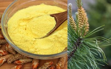 PO KAŠIČICU DNEVNO TREBA DA POJEDE SVAKA ŽENA: MAGIČNI PRAH LEČI KOSTI I UPALE, REGULIŠE HORMONE PO KAŠIČICU DNEVNO TREBA DA POJEDE SVAKA ŽENA: MAGIČNI PRAH LEČI KOSTI I UPALE, REGULIŠE HORMONE - featured image