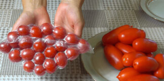 Evo kako čuvati paradajz CIJELE GODINE. Jest ću ga svježeg čak i zimi! Evo kako čuvati paradajz CIJELE GODINE. Jest ću ga svježeg čak i zimi! - featured image