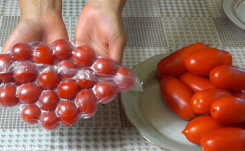 Evo kako čuvati paradajz CIJELE GODINE. Jest ću ga svježeg čak i zimi! Evo kako čuvati paradajz CIJELE GODINE. Jest ću ga svježeg čak i zimi! - featured image