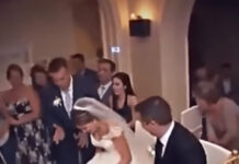 Na svadbi se nešto počelo micati ispod mladenkine haljine – Neočekivani gost koji je nasmijao sve Na svadbi se nešto počelo micati ispod mladenkine haljine – Neočekivani gost koji je nasmijao sve - featured image