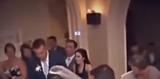 Na svadbi se nešto počelo micati ispod mladenkine haljine – Neočekivani gost koji je nasmijao sve Na svadbi se nešto počelo micati ispod mladenkine haljine – Neočekivani gost koji je nasmijao sve - featured image