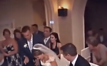 Na svadbi se nešto počelo micati ispod mladenkine haljine – Neočekivani gost koji je nasmijao sve Na svadbi se nešto počelo micati ispod mladenkine haljine – Neočekivani gost koji je nasmijao sve - featured image